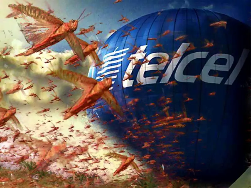 internet-telcel